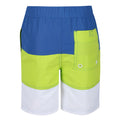 Nautical Blue-Electric Lime - Back - Regatta Boys Shaul III Swim Shorts