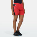 Red Sky-Seal Grey - Back - Regatta Womens-Ladies Sungari II Walking Shorts