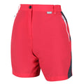 Red Sky-Seal Grey - Side - Regatta Womens-Ladies Sungari II Walking Shorts