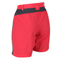 Red Sky-Seal Grey - Lifestyle - Regatta Womens-Ladies Sungari II Walking Shorts