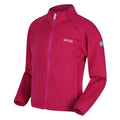 Duchess Pink - Pack Shot - Regatta Childrens-Kids Highton Lite Midlayer