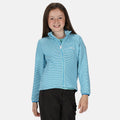 Cool Aqua - Back - Regatta Childrens-Kids Highton Lite Midlayer