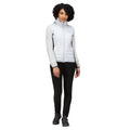 Cyberspace-Seal Grey - Back - Regatta Womens-Ladies Pemble III Hybrid Fleece Jacket