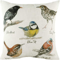 Multicoloured - Front - Evans Lichfield Species Bird Cushion Cover
