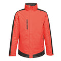 Classic Red-Black - Front - Regatta Contrast Mens Insulated jacket