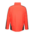 Classic Red-Black - Back - Regatta Contrast Mens Insulated jacket