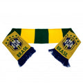 Yellow-Green - Back - Brasil Bar Scarf
